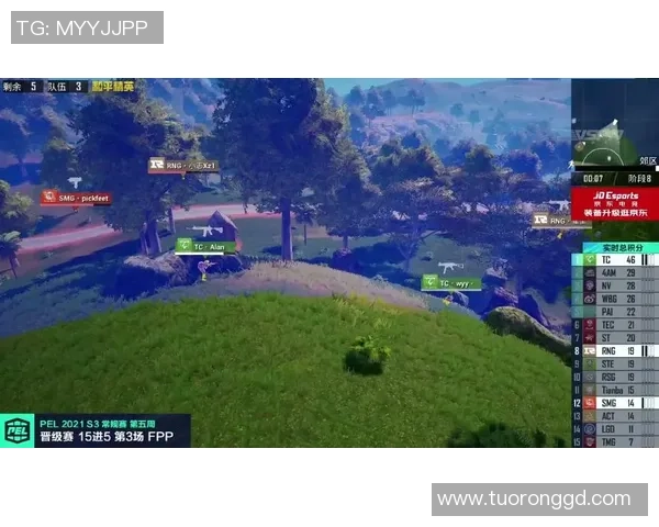 和平精英巨献：探秘RNG的配合