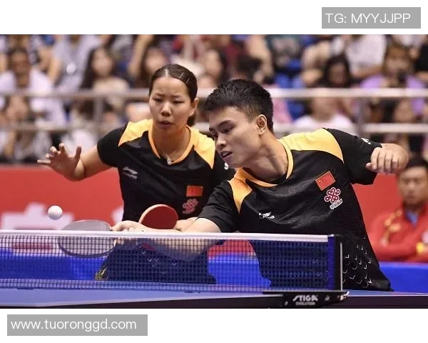 独家分析：成都排球队的节奏对比