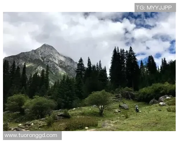 从零开始：攀岩心理素质完全攻略